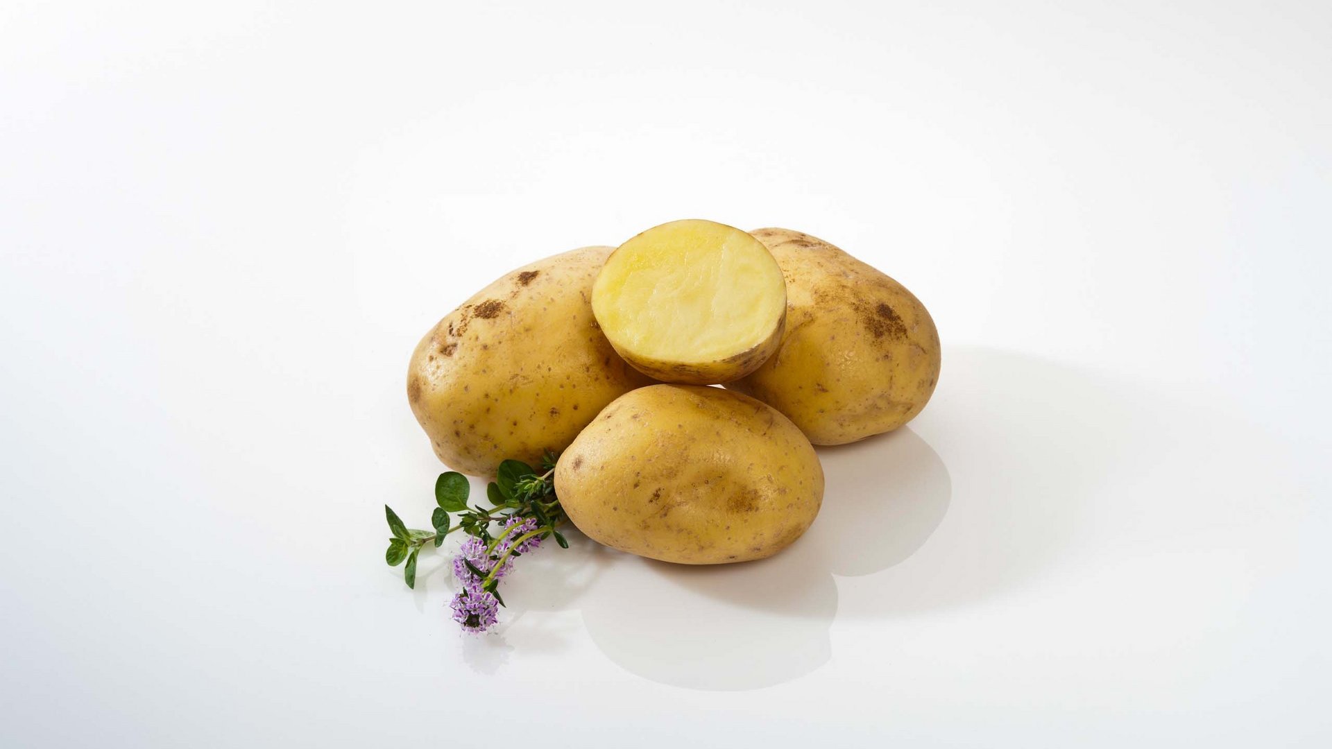 Gusto Alpin: Südtiroler und italienische Teigwaren kaufen
